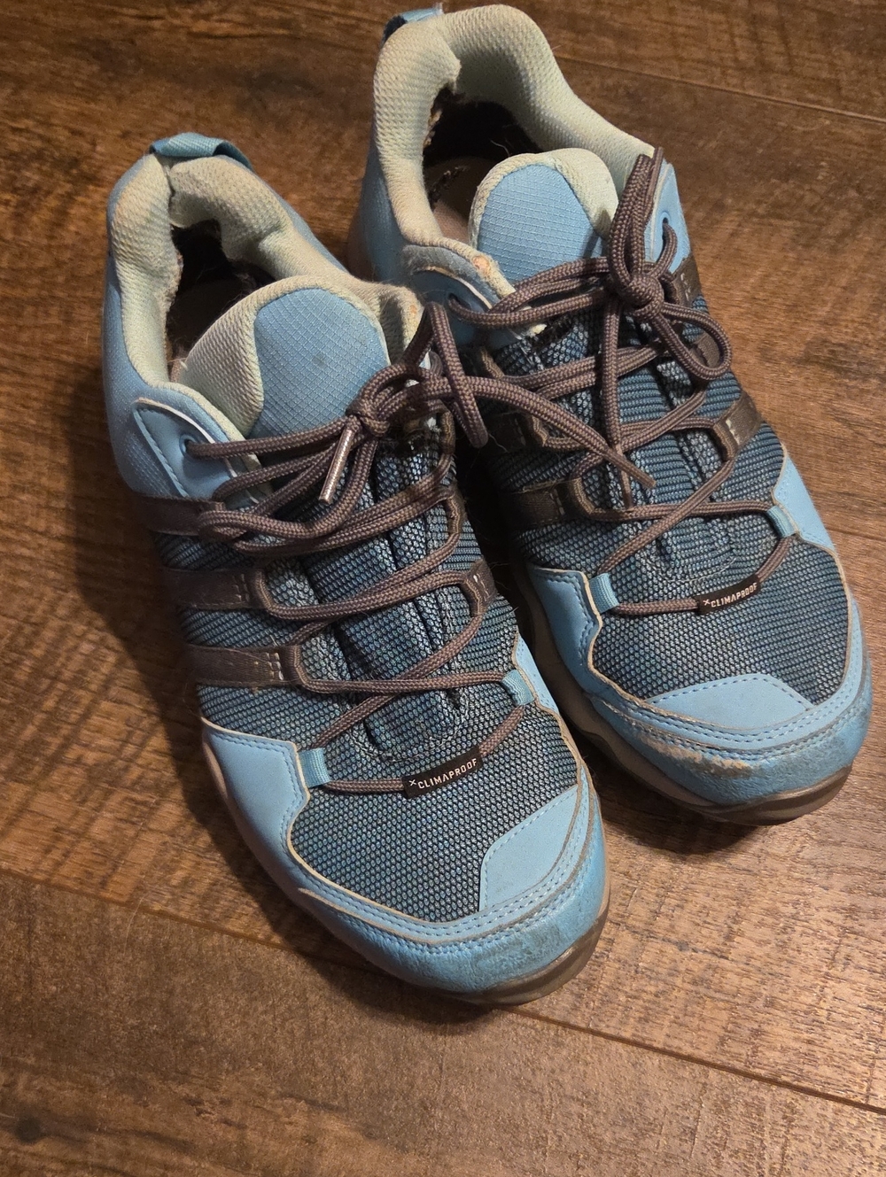 adidas Women Blue and Gray Trail Sneakers